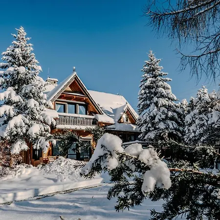 Villa Swiss Na Wylacznosc - Jacuzzi, Sauna, Bilard