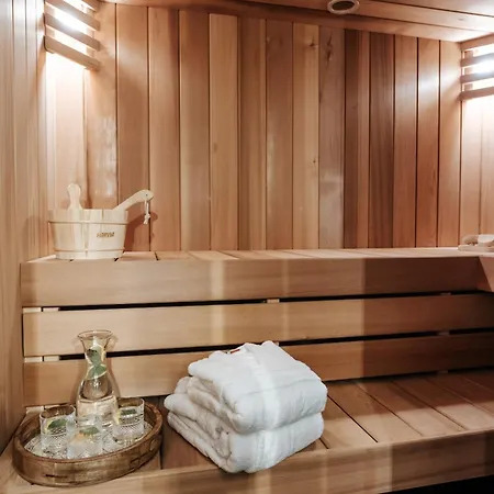 Willa Swiss Na Wyłączność - Jacuzzi, Sauna, Bilard