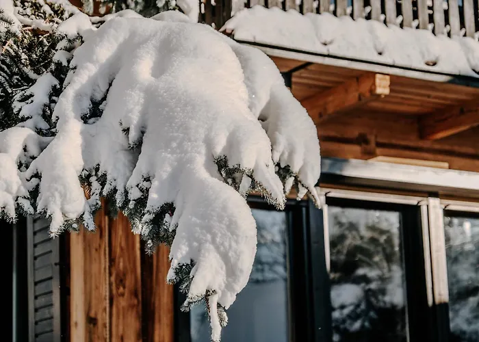 Villa Swiss Na Wylacznosc - Jacuzzi, Sauna, Bilard *